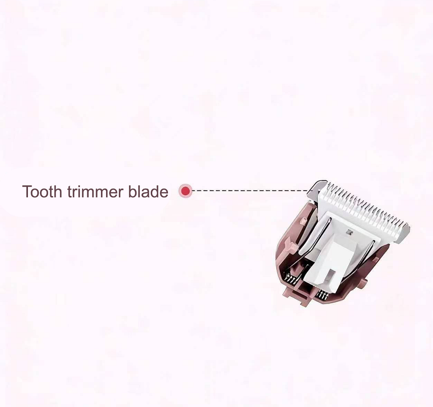 Electric shaver accessories